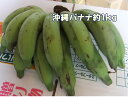 【送料無料】島バナナよりもデカい稀少沖縄産・沖縄バナナ10kg【発送期間　7月上旬〜8月末頃】
