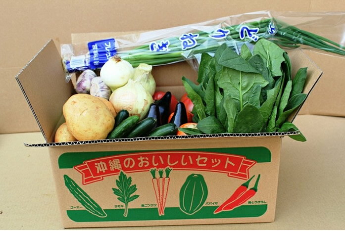 【送料無料】安心・楽しい玉手箱沖縄産・野菜セット（9種類）05P06Aug16...:shizendo:10001235