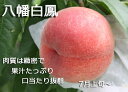もも 減農薬 和歌山県 産地直送 あら川の桃 八幡白鳳(最高級)3Lサイズ 約4kg(約15玉)【発送:7月上旬頃〜7月中旬頃】