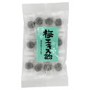 梅エキス飴(60g)【健康フーズ】
