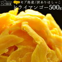 }S[ 󂠂 Zu hC}S[ 500g 䂤pPbg  󂠂 [ s XC[c hCt[c }S[ 