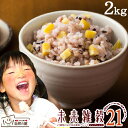 未来雑穀21+マンナン 2kg(500g×4) 完全 国産 ...