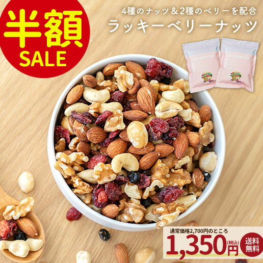 【半額SALE】大容量500g(250g×2) ラッキーベリーナッツ 送料無料 無塩 ナッツ ロカボ くるみ カシューナッツ アーモンド クランベリー ワイルド<strong>ブルーベリー</strong> オメガ トレイルミックス 自然の館 家飲み 宅飲み