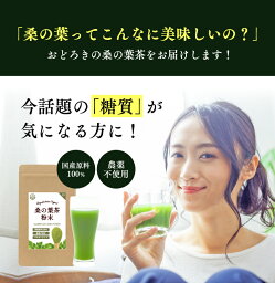 桑の葉茶 粉末 100g 桑の葉粉末 桑茶 桑の葉 くわのは くわ茶 お茶 国産 パウダー <strong>青汁</strong> 糖質 血糖値 体脂肪 ノンカフェイン 健康茶 健康飲料 | 日本茶 桑 粉末茶 無農薬 カフェインレス 粉末タイプ <strong>ダイエット</strong>茶 有機 冷茶 1,000円ポッキリ ぽっきり 1000円 静岡茶園