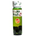 チョーヤ梅酒 紀州 (梅の実入り)14度 720ml 瓶