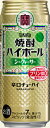 【送料無料】タカラ 焼酎ハイボール シークァーサー 500ml×24缶 1ケース