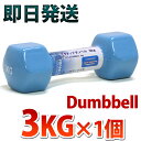 ダンベル 3kg 1個 レディース用 ブルー二の腕 上腕をス...