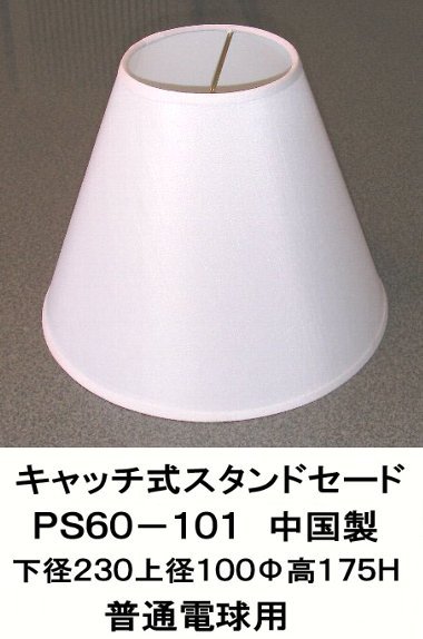 PS60-101