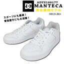 【あす楽】【送料無料】 正規品 DC SHOES MANTE...