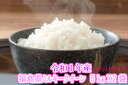 【最安値に挑戦中!】福島県産ミルキークイ-ン10キロ(5キロ×2袋)(白米・1年産)小分けタイプ★送料無料(一部地域別途送料負担)10kg ふくしまプライド ギフト のし対応 精米 コメ ミルキークイーン