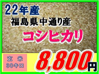 ★家計応援★＜数量限定＞中通り産コシヒカリ玄米30キロ（玄米・22年産）★送料0円！(一部地域別途送料負担）