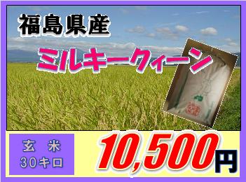 福島県産ミルキークィーン玄米30キロ（玄米・23年産）★送料0円！(一部地域別途送料負担）