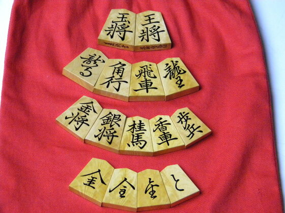 盛上駒　大竹竹風作　菱湖書（孔雀杢）商品画像