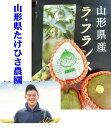 「産地直送!!」山形県南陽 たけひさ農園「きめこまかな肉質と上品な甘み」ラフランス 1箱2kg(5~6玉)※大きさにより玉数が異なります。箱のデザインは異なる場合が御座います。