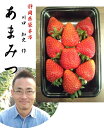 「世界で一つだけの苺!!」静岡県掛川市産 川口 知史 作 あまみつ苺(ご家庭用) 1箱2パック入り (1パックあたり 250g5~12粒入り) ※大きさにより粒数が異なります。