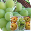 9月特選!!石川県産 奥谷梨出荷組合 加賀の豊水梨&岡山県ゴールドシャインマスカット