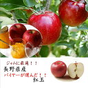 ジャムに最適!!青森県産 紅玉 1箱 2kg(8~10玉)