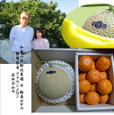 和歌山県有田 勘寿みかん 1.2kg&静岡県産 クラウンマスクメロン 1玉(1.3k~1.6k)
