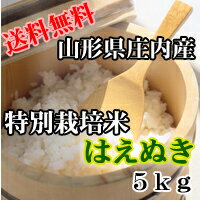 【送料無料】【山形県庄内産】特別栽培米　はえぬき5kg