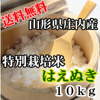 【送料無料】【山形県庄内産】特別栽培米　はえぬき10kg