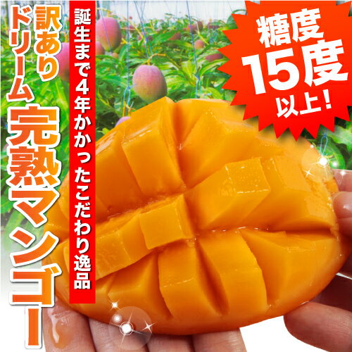 【訳あり】【送料無料】完熟ドリームマンゴー(Lサイズ〜2Lサイズ混合）1kg(3個入り)【同梱不可】誕生まで4年かかったこだわりの逸品朝採れ産地直送！樹上完熟100％