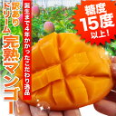 完熟ドリームマンゴー(Lサイズ〜2Lサイズ混合）1kg(3個入り)誕生まで4年かかったこだわりの逸品朝採れ産地直送！樹上完熟100％