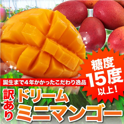 【訳あり】【送料無料】完熟ドリームミニマンゴー(100g〜220gサイズ混合）1kg(5〜11個入り)【同梱不可】