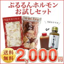 【送料無料】『人気ホルモン食べ比べセット』味付けなし 選べるタレ!焼肉・もつ鍋・BBQに【あす楽対応】【smtb-k】【kb】【02P03Dec16】【楽ギフ_包装選択】【RCP】【楽フェス_ポイント5倍】