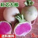 【送料無料】静岡県産 紅心だいこん 約5kg 10~15個入り
