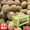 【送料無料】鹿児島県産 徳之島じゃがいも Mサイズ 10kg...