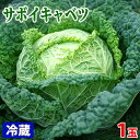 奈良県産 サボイキャベツ