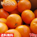 【送料無料】佐賀県産 いよかん 秀品 L~2Lサイズ 10kg(箱)