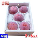 福岡県産 プラム 貴陽 5~6玉入 (化粧箱)