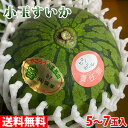 【送料無料】鹿児島県産 小玉すいか A等級 5~7玉入(箱)