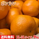 【送料無料】愛媛県産 ポンカン 秀品 2L~3Lサイズ 9kg