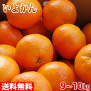 【送料無料】 佐賀県産 いよかん 秀品 3L~4Lサイズ 9~10kg(箱)