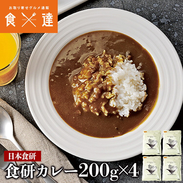 カレー 食研カレー レトルト 200g×4袋 4人前 中辛 (業務用販売) 湯煎 温めるだけ <strong>日本食研</strong> 惣菜 常温便 メール便 ギフト お取り寄せグルメ 食品 ギフト おためし価格