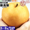 新高梨 超大玉 5~9玉 新潟県産 5kg箱満杯詰め 梨の王様 和梨 にいたか なし 産地直送 産直 常温便 同梱不可 指定日不可