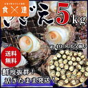 サザエ さざえ バーベキュー BBQ 5kg 40~65個 海鮮 魚介 中サイズ ツボ焼き用 同梱不可 冷蔵配送 ギフト