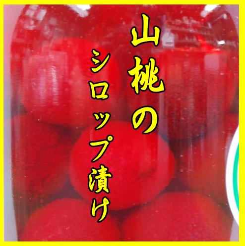 RVbvЂiƖpj