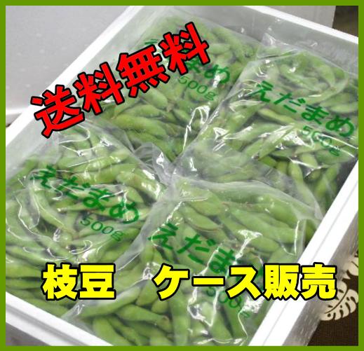 【送料無料】枝豆（えだまめ）業務用（500g×20袋）【smtb-TD】【saitama】【smtb-k】【w3】お値段もお得なケース販売です