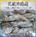 天使の海老1000g30尾/40尾テレビ雑誌で話題の高級海老