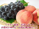 バイヤー厳選!お試しセット 巨峰【秀品】1房&桃【大糖領】2...