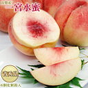 山梨産特大桃「一宮水蜜」【青秀品】6個 (化粧箱入り)