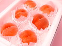 バイヤーおすすめセット長野産大玉桃《秀品》6個(簡易化粧箱入り・約2キロ)【楽ギフ_メッセ】