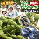 生産者限定 契約栽培 品「 朝採り だだちゃ豆 」【380g×2袋/ 山形県 鶴岡産 】+ なす漬 セット 【羽黒小なす丸(120g×2袋)】枝豆 えだまめ だだ茶豆 だだちゃまめ 土産 みやげ お取り寄せ 特産品 グルメ発送期間:7月下旬〜9月上旬