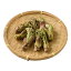 春季 数量限定「 たらの芽 」約100g/山形県 庄内産 簡単 レシピ 付き(料理の作り方)たらのめ 東北 山形 庄内 鶴岡 お土産 山菜 新鮮 採れたて 特産品 お取り寄せ 発送期間:4月下旬〜5月上旬頃