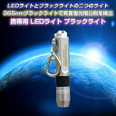LED 懐中電灯 ブラックライト 携帯 蛍光剤 蛍光増白剤 ...