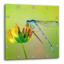 壁掛け時計 インテリア 海外モデル アメリカ 輸入 3dRose dpp_53238_1 Blue Dragonfly Wall Clock, 10 by 10-Inch壁掛け時計 インテリア 海外モデル アメリカ 輸入