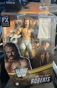 WWE tBMA AJA l` vX    WWE Elite Legends Collection Action Figure Series (Select Superstar) (Jake The Snake Roberts (Series 13))WWE tBMA AJA l` vX